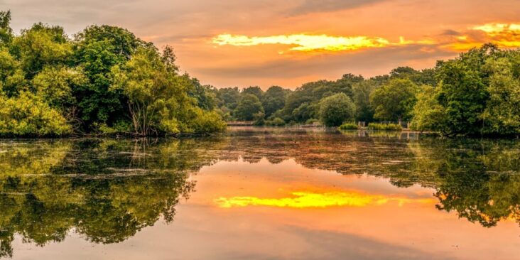 Epping Forest London